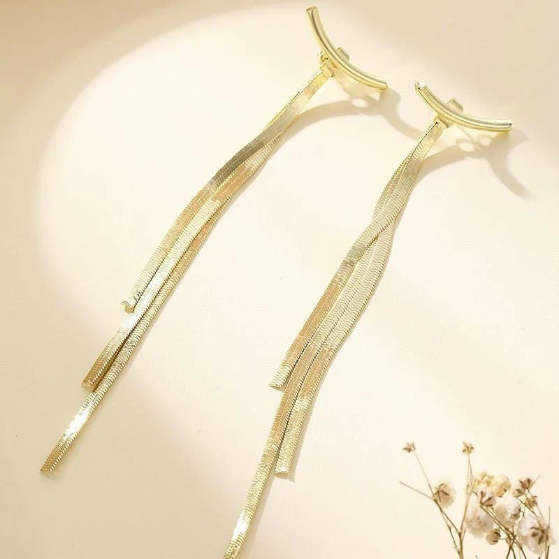 Tassel Earrings With Female, Long Snake Bone Chain Earrings